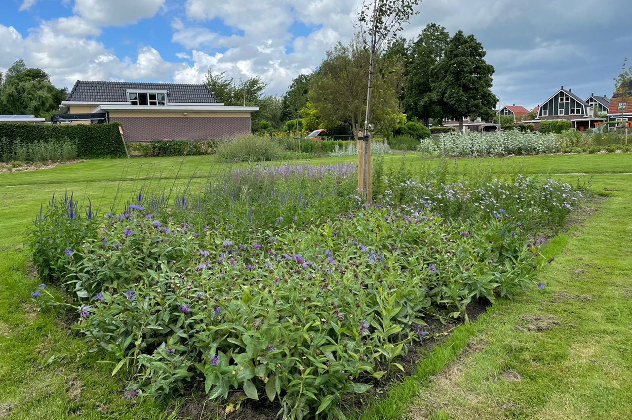 Vrienden Park de Meet Vlindertuin Nectartuin 02