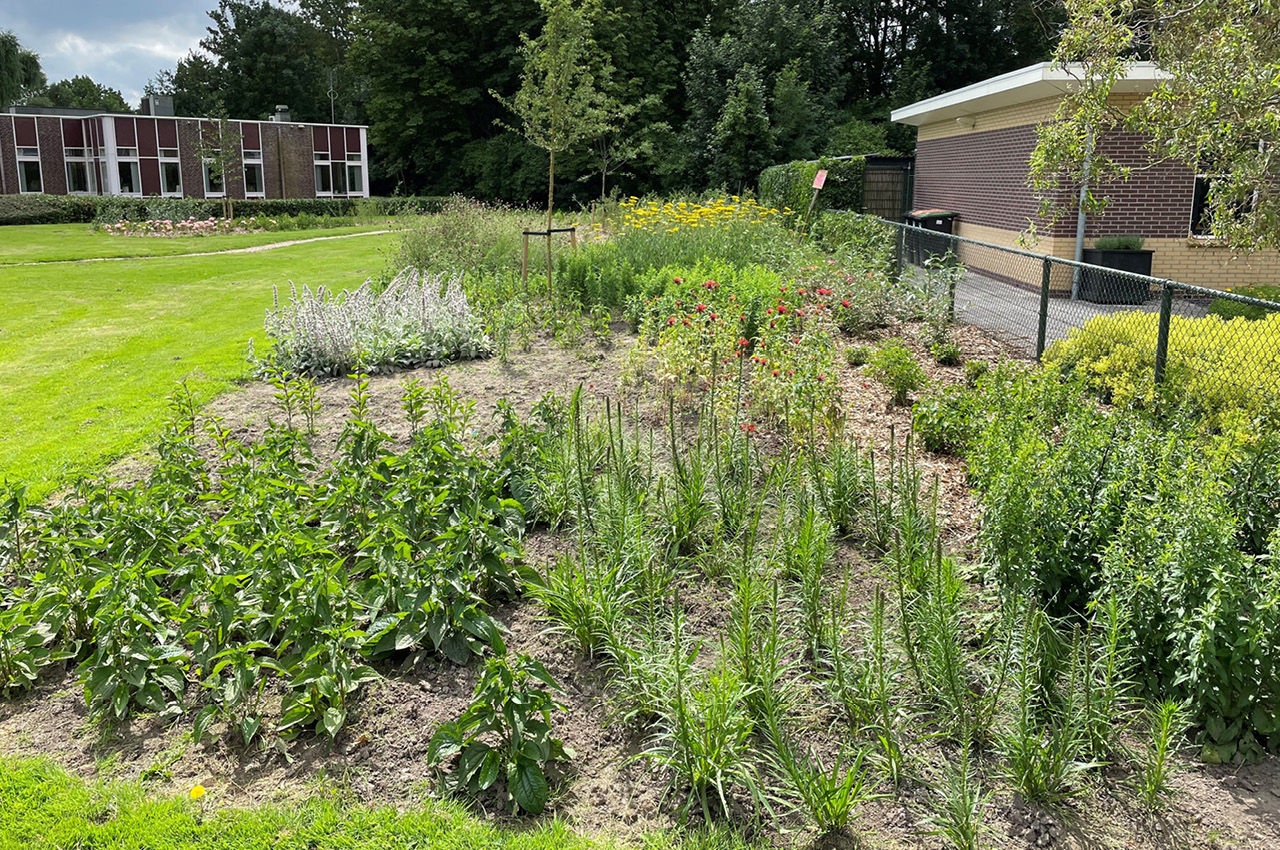 Vrienden Park de Meet Vlindertuin Nectartuin 03